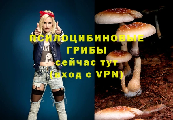 таблы Дмитровск