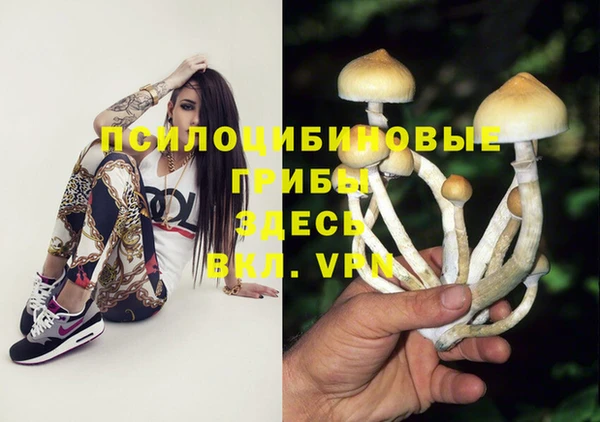 ECSTASY Дмитров