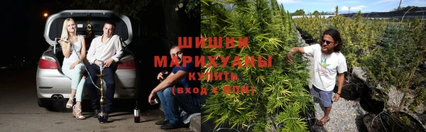 ECSTASY Дмитров